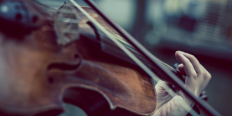 ヴァイオリンの音が苦手な人は 本能が高音を拒否してる Atelier Eren ヴァイオリン製作 音楽ブログ