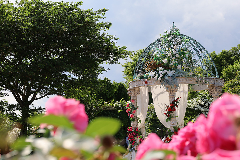 千葉県 京成バラ園